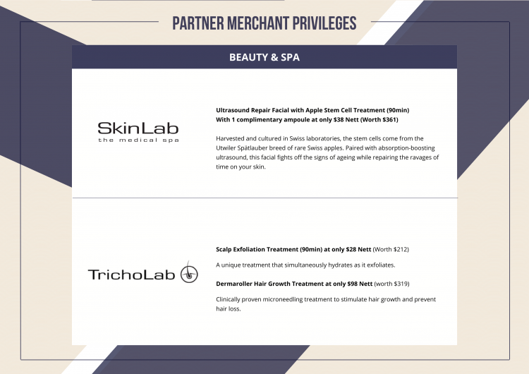 Updated Merchant Privileges (Landscape) - 6